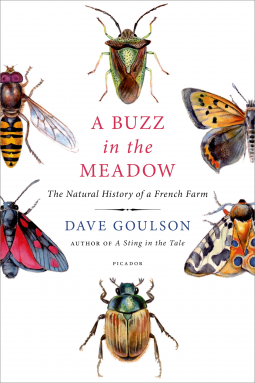 Cover for A Buzz in the Meadow by Dave Goulson