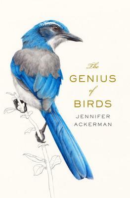 The Genius of Birds by Jennifer Ackerman Cover