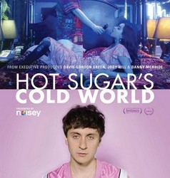 Hot Sugar's Cold World Poster