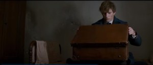 Scamander looks into a brown suitcase