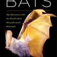 Cover for The Secret Lives of Bats by Merlin Tuttle