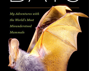 Cover for The Secret Lives of Bats by Merlin Tuttle