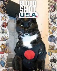 Bloodshot Cat Cosplay