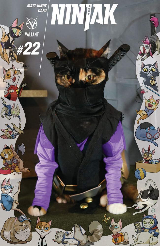 Ninjak #22 Cat Cosplay