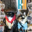 Archer and Armstrong Valiant Cat Cosplay Cover