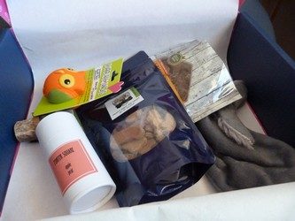 The May PupJoy Crate