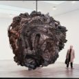 chris burden medusa's head
