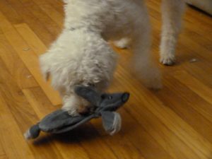 Pupjoy Enemy Rabbit and Bilbo