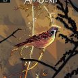 Umbrella Academy Cover