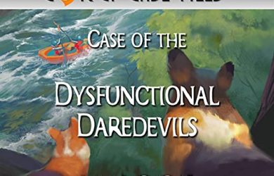 Case of the Dysfunctional Daredevils